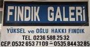 Fındık Galeri  - Manisa